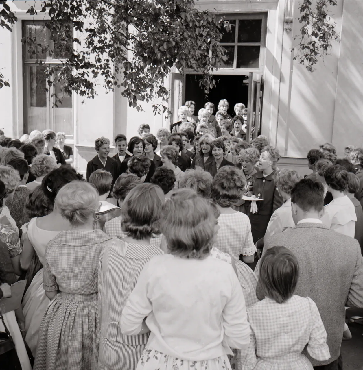 Flickis 19600000 bild 5