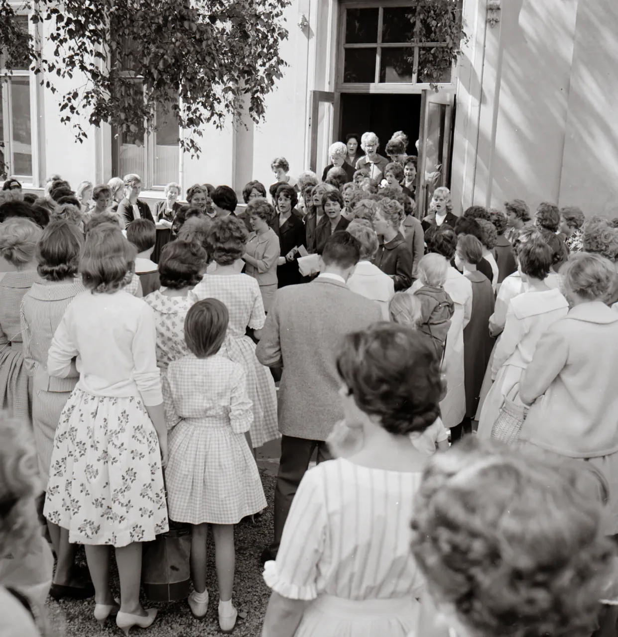 Flickis 19600000 bild 6