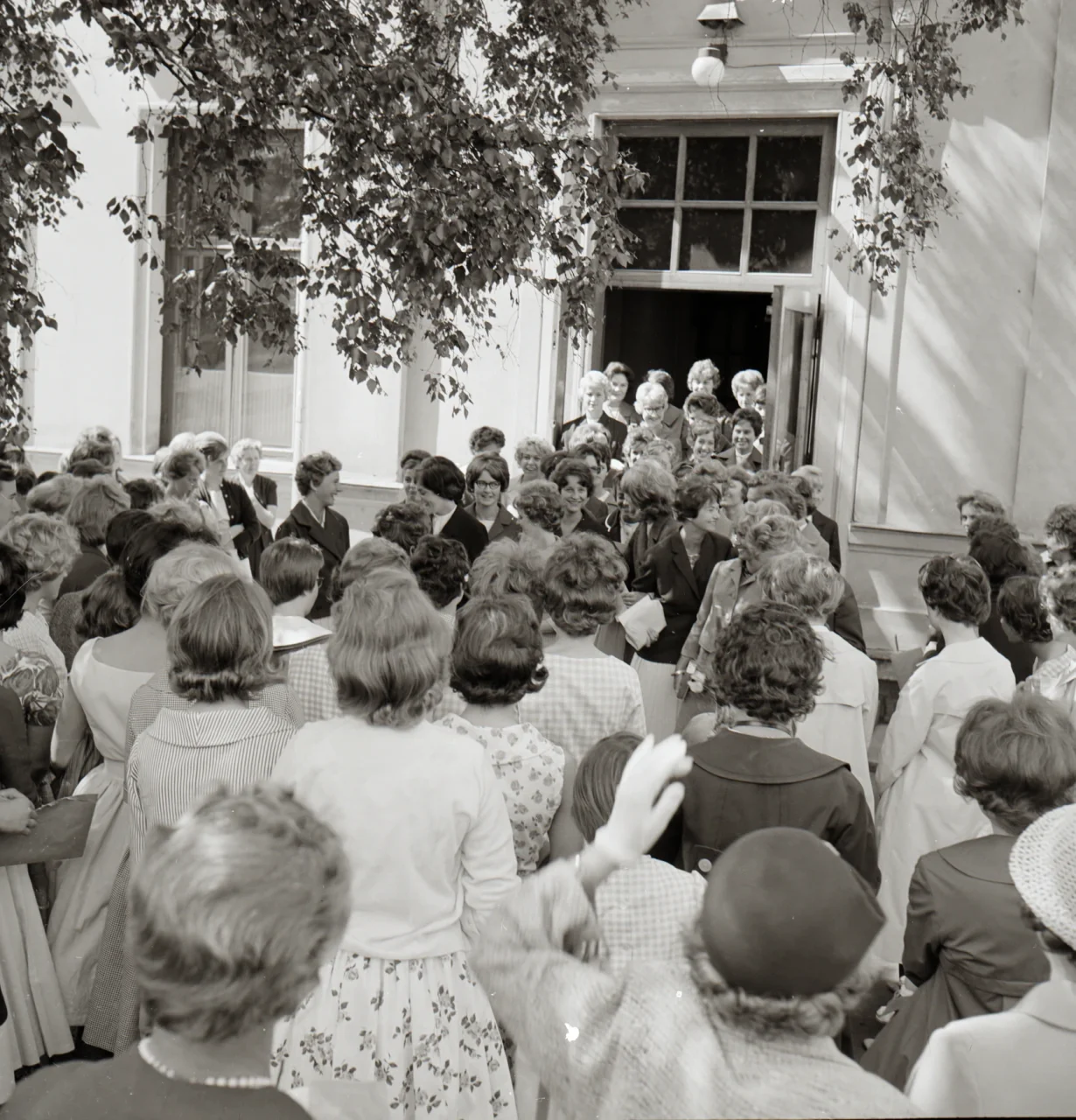 Flickis 19600000 bild 7