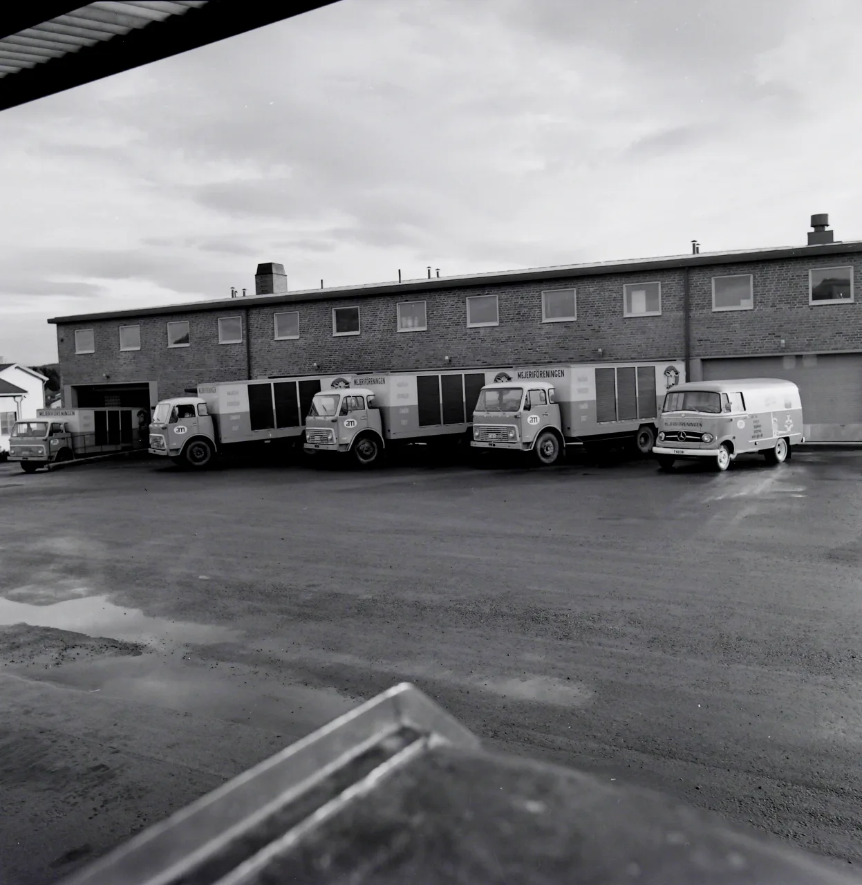 Ångermanland mejeriförening